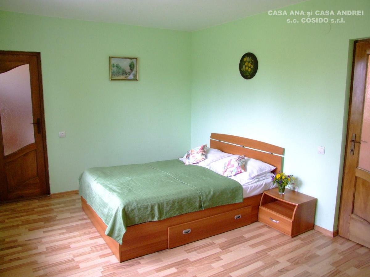 הוילה Dealu Floreni Casa Ana Vatra Dornei מראה חיצוני תמונה
