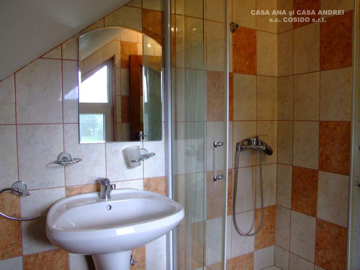 הוילה Dealu Floreni Casa Ana Vatra Dornei מראה חיצוני תמונה