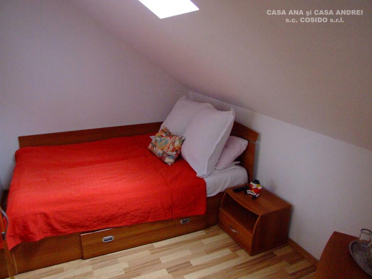 הוילה Dealu Floreni Casa Ana Vatra Dornei מראה חיצוני תמונה